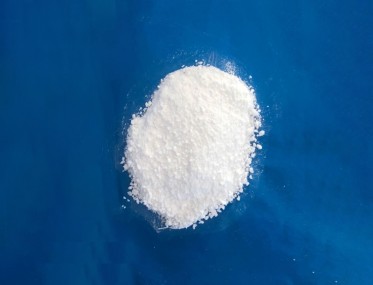 浙江无水茄子视频在线播放